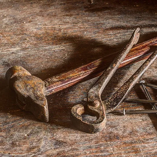teeth-not-tools