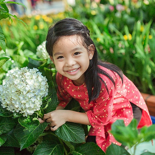 baby girl with flowers